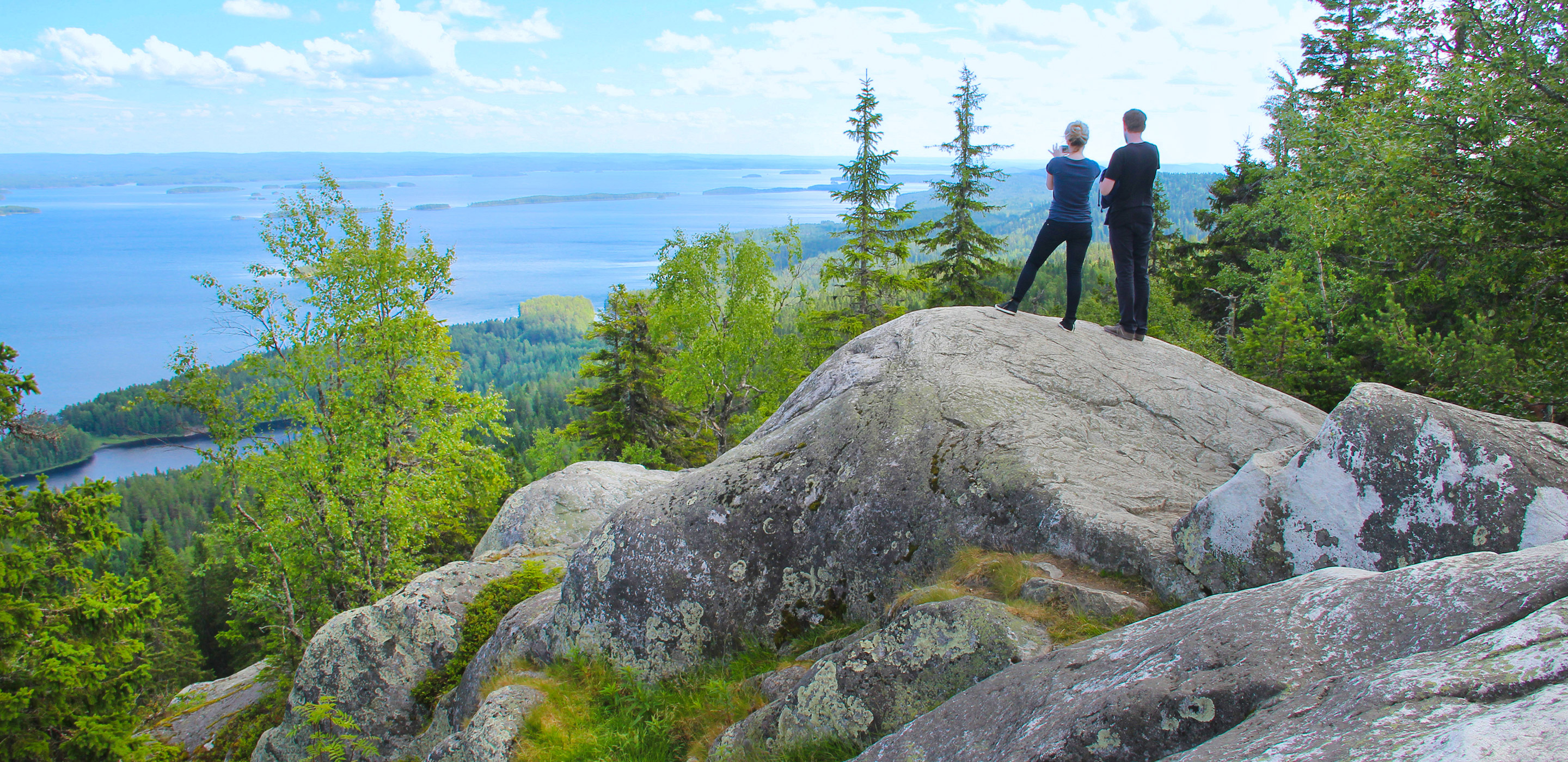 Koli-Nationalpark Koli-Nationalpark