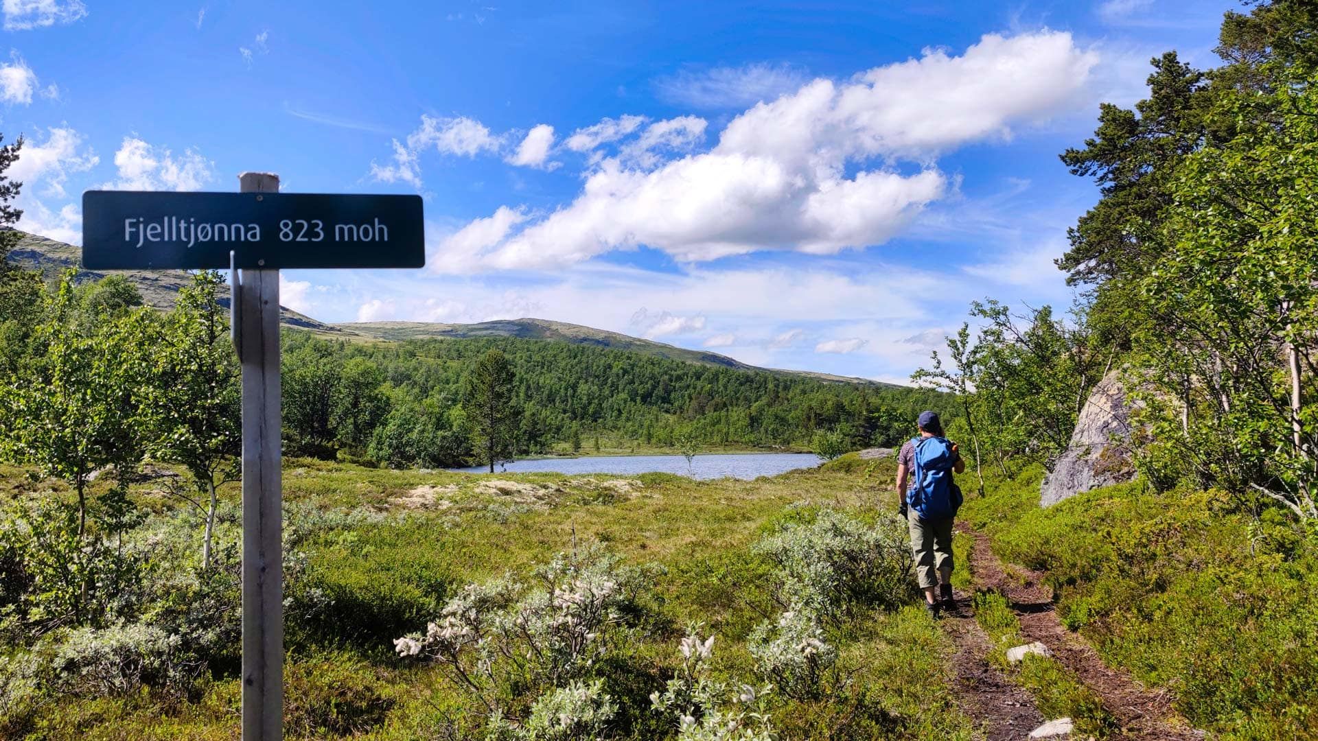 Aktivität Savalen Sommer