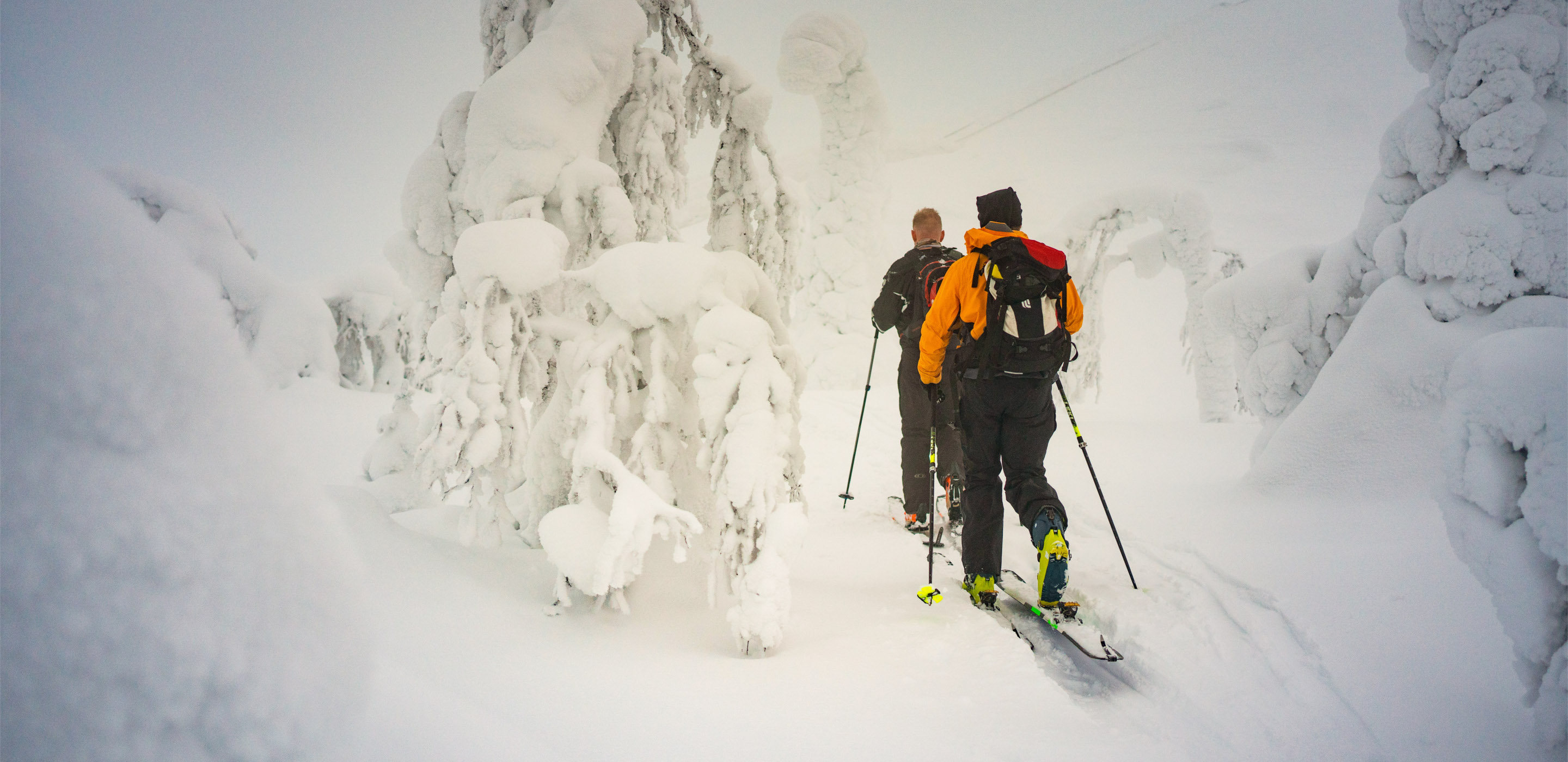 Ski-Langlauf